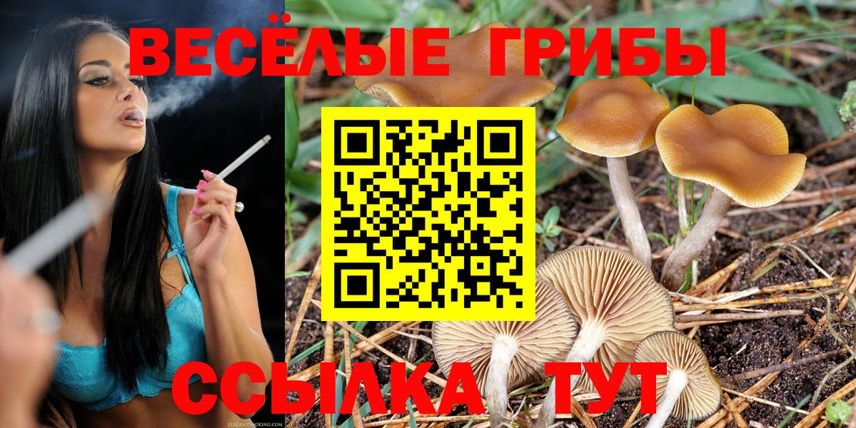 Щёкино  Галлюциногенные грибы Psilocybe  Вход с VPN 
