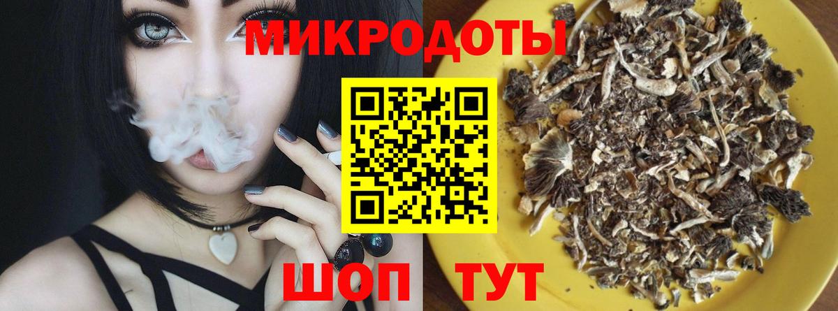 Псилоцибиновые грибы Psilocybine cubensis Щёкино